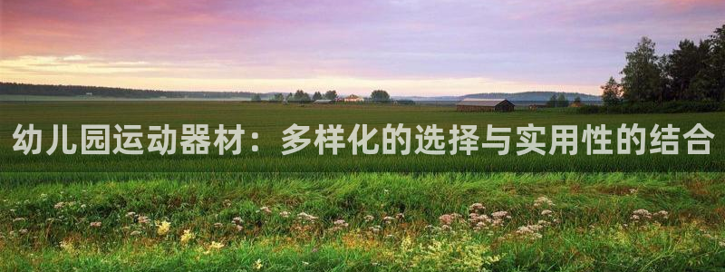 三亿体育官网下载软件：幼儿园运动器材：多样化的选择与实用性的
