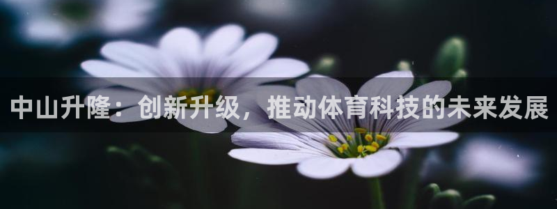 三亿体育官方正版app代理：中山升隆：创新升级，推动体育科技