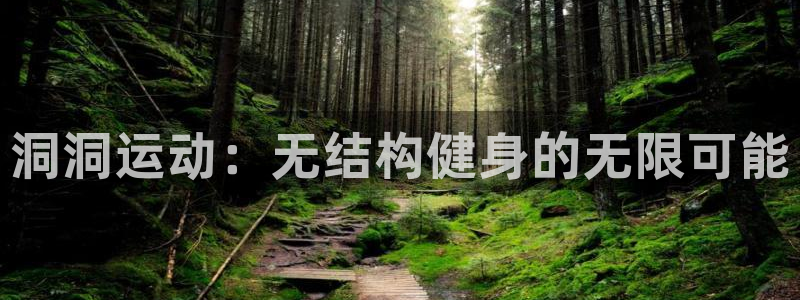 三亿体育官方正版app娱乐是那个系列的台子：洞洞运动：无结构