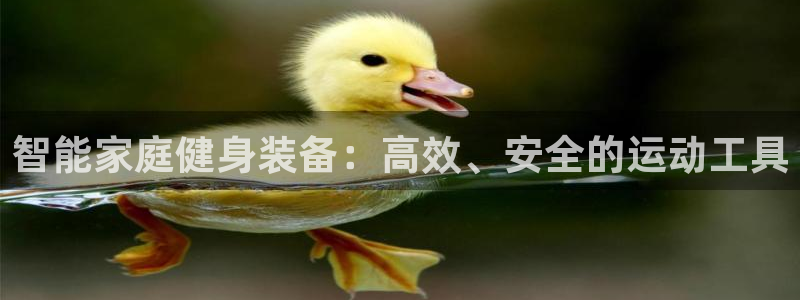 三亿体育官方正版app娱乐：智能家庭健身装备：高效、安全的运
