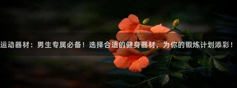 三亿体育官方正版app开户：运动器材：男生专属必备！