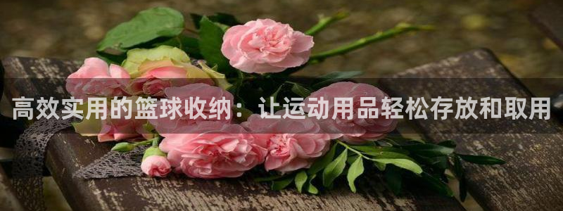 三亿体育官网下载：高效实用的篮球收纳：让运动用品轻松