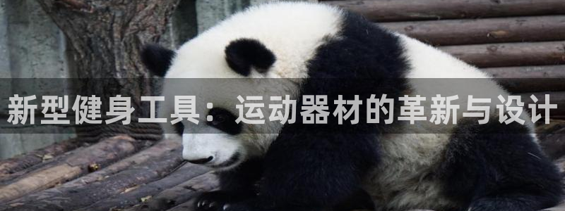 三亿体育官网下载招商电话是多少啊：新型健身工具：运动