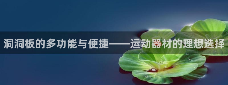 三亿体育官网下载平台注册要钱吗：洞洞板的多功能与便捷