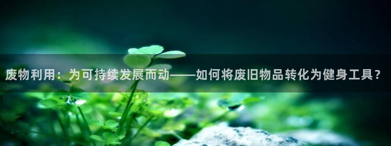 三亿体育官方正版app集团简介：废物利用：为可持续发展而动—