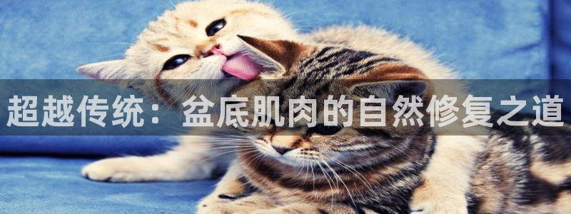 三亿体育官方正版app官网：超越传统：盆底肌肉的自然修复之道