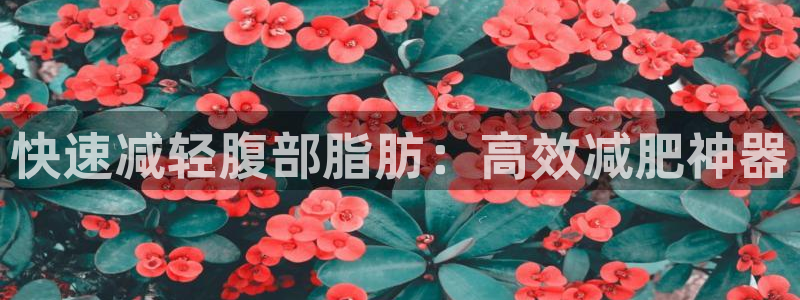 三亿体育官方正版app集团简介：快速减轻腹部脂肪：高效减肥神