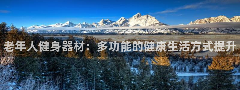 三亿体育官网下载平台注册流程视频：老年人健身器材：多