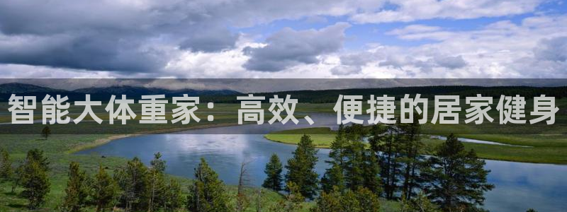 三亿体育官网下载娱乐：智能大体重家：高效、便捷的居家
