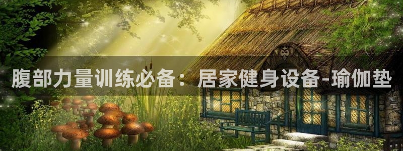 三亿体育官方正版app官网：腹部力量训练必备：居家健身设备-
