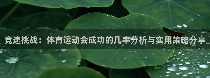77体育app下载官网