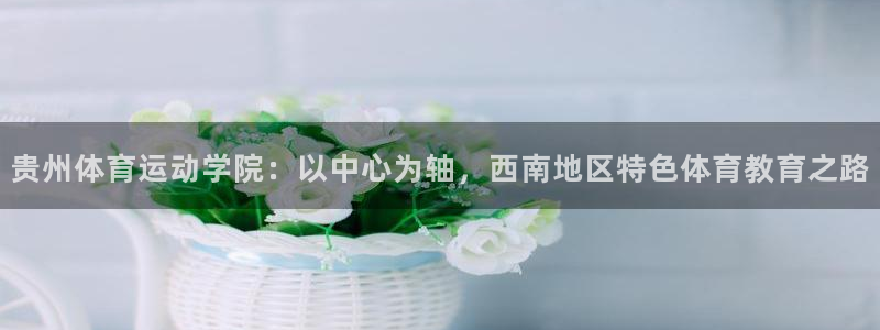 77体育app下载官网