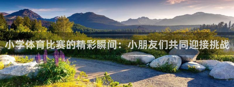 77体育app下载官网