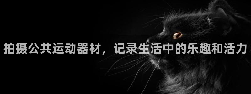 三亿体育官网下载招商电话地址：拍摄公共运动器材，记录